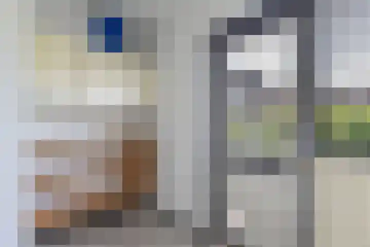 De Finne 9 Menaam thumbnail 21