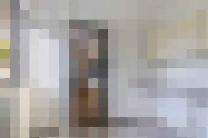De Finne 9 Menaam thumbnail 22