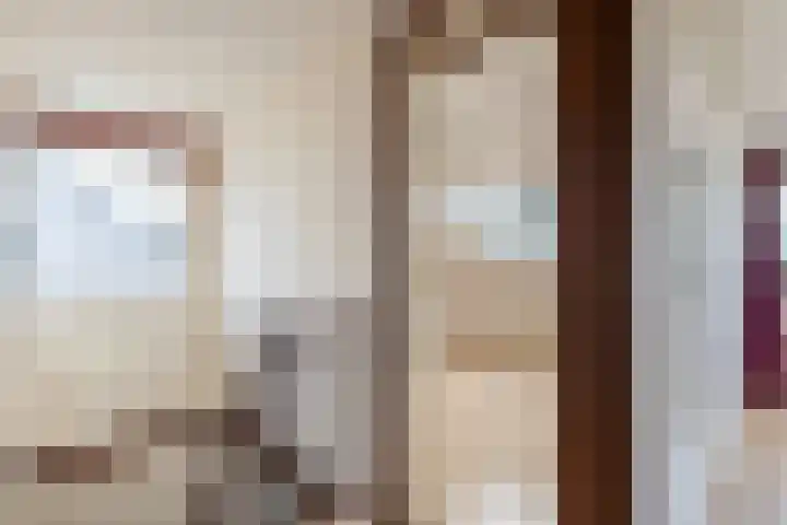 De Finne 9 Menaam thumbnail 23