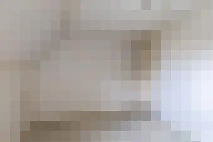 De Finne 9 Menaam thumbnail 27