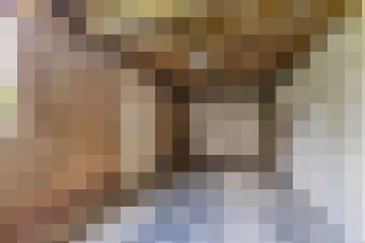De Finne 9 Menaam thumbnail 31