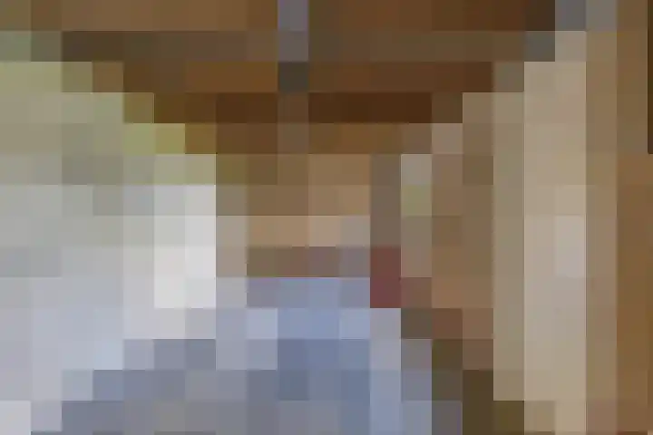 De Finne 9 Menaam thumbnail 32