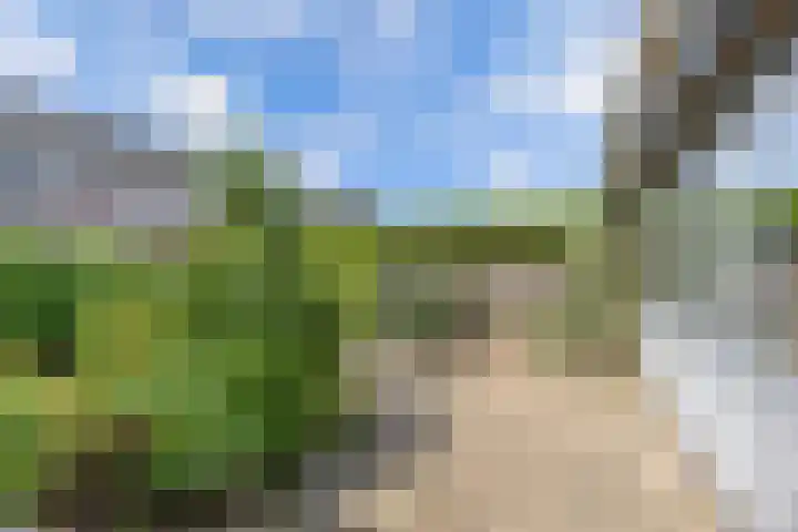 De Finne 9 Menaam thumbnail 33