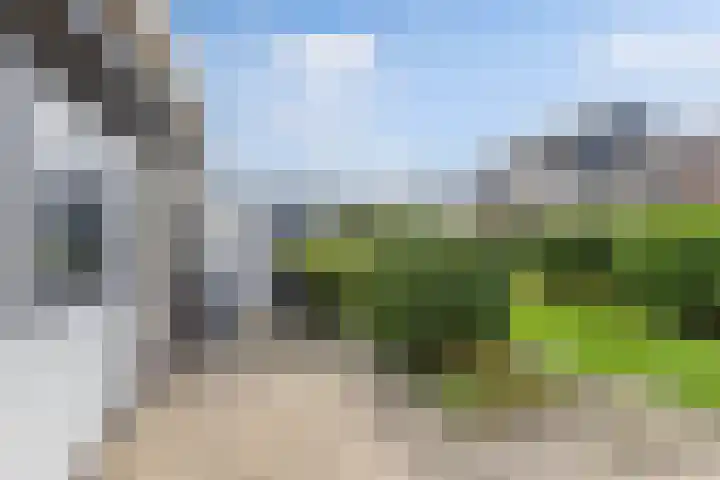 De Finne 9 Menaam thumbnail 34