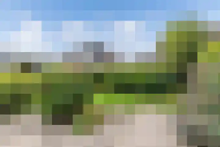 De Finne 9 Menaam thumbnail 35