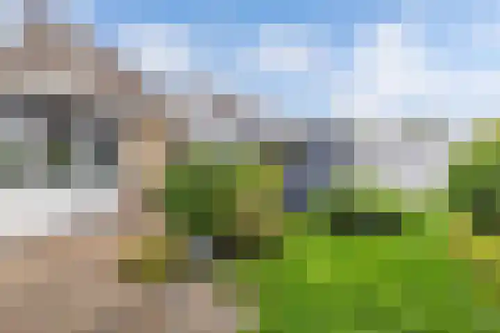 De Finne 9 Menaam thumbnail 36