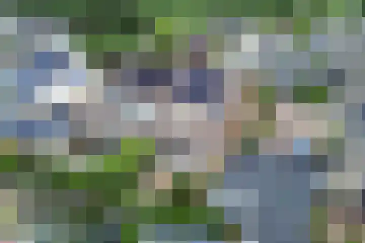 De Finne 9 Menaam thumbnail 38