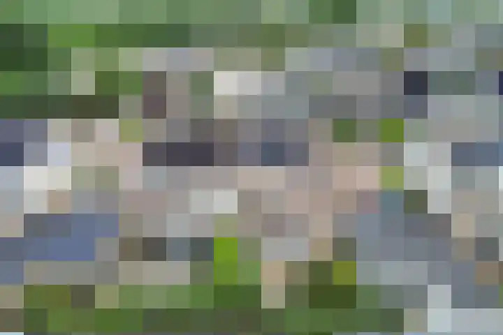 De Finne 9 Menaam thumbnail 39