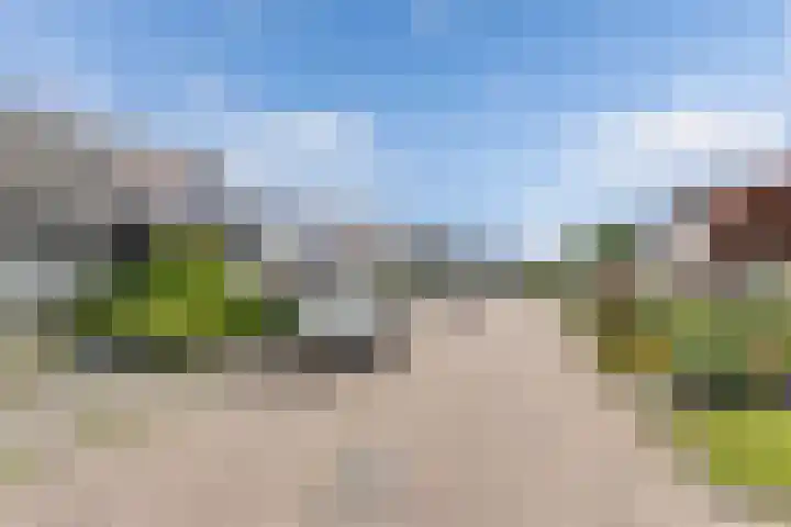 De Finne 9 Menaam thumbnail 4