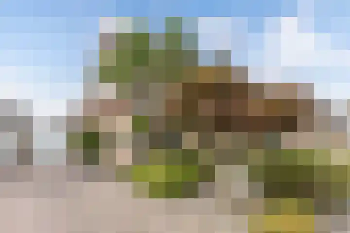 De Finne 9 Menaam thumbnail 48