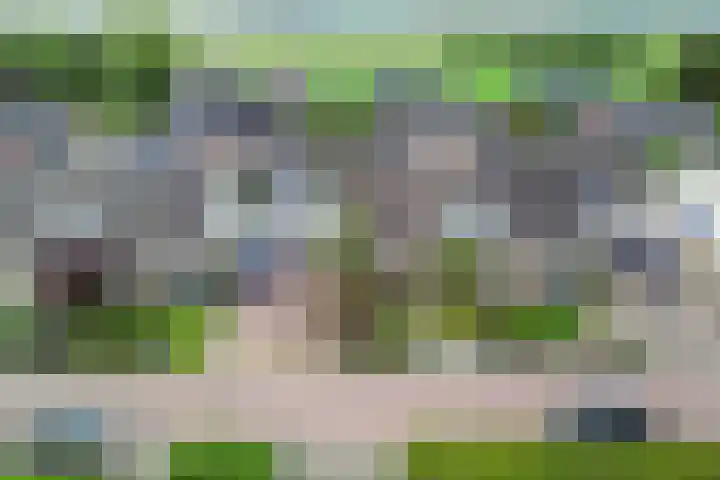 De Finne 9 Menaam thumbnail 6