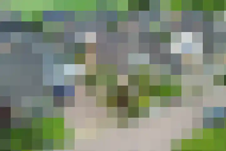 De Finne 9 Menaam thumbnail 7
