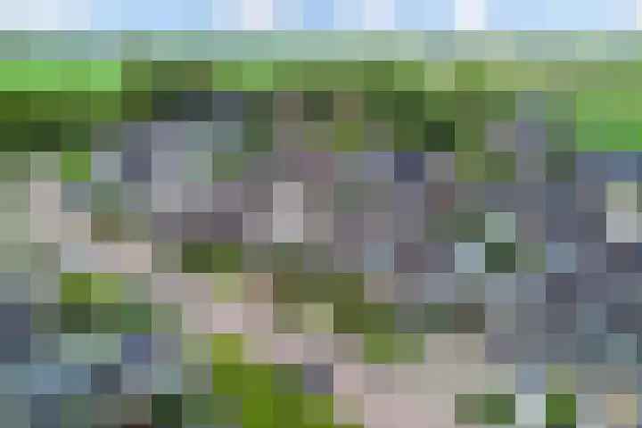 De Finne 9 Menaam thumbnail 8