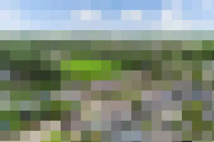 De Finne 9 Menaam thumbnail 9