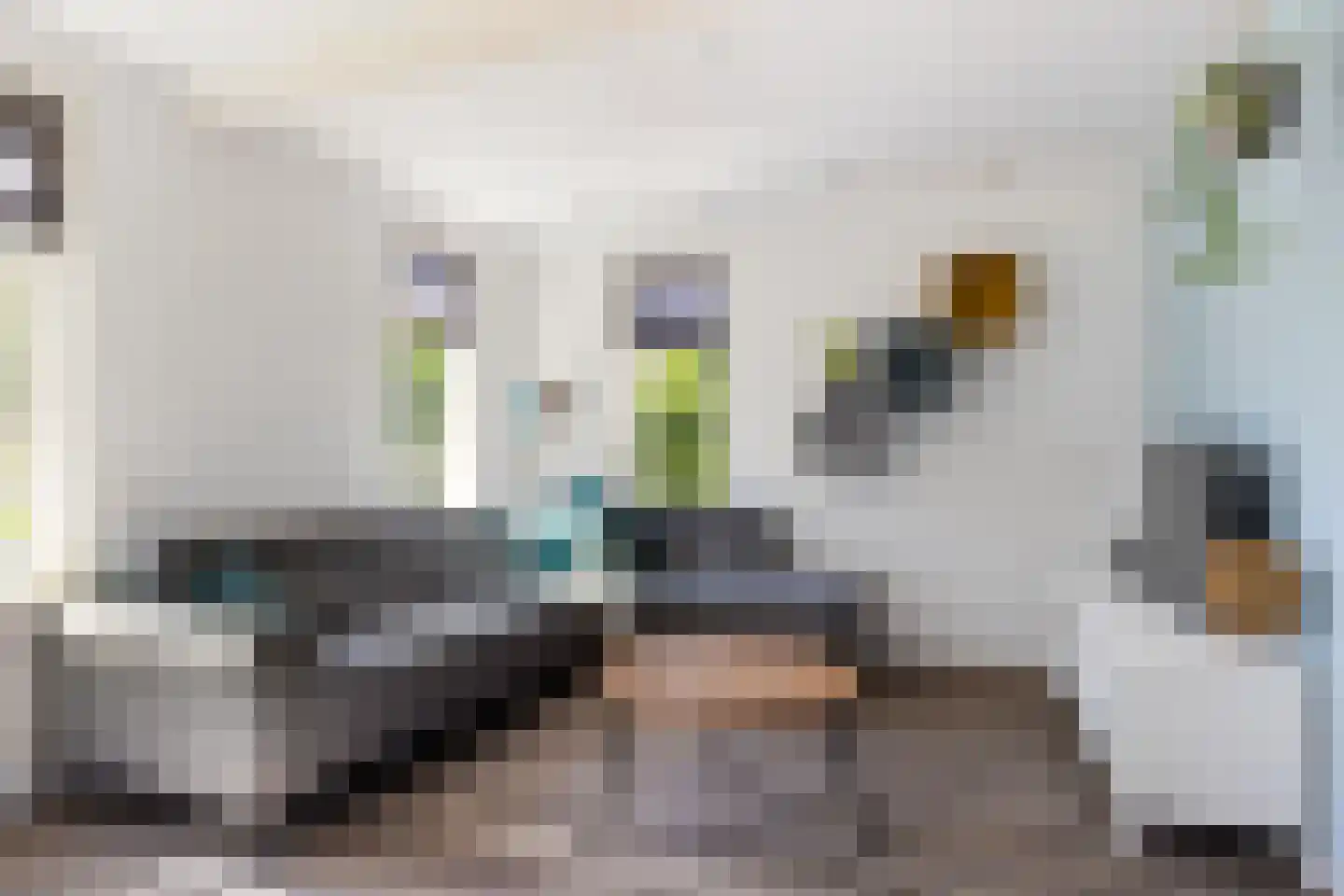 De Fintsjes 19 c Rottevalle thumbnail 11
