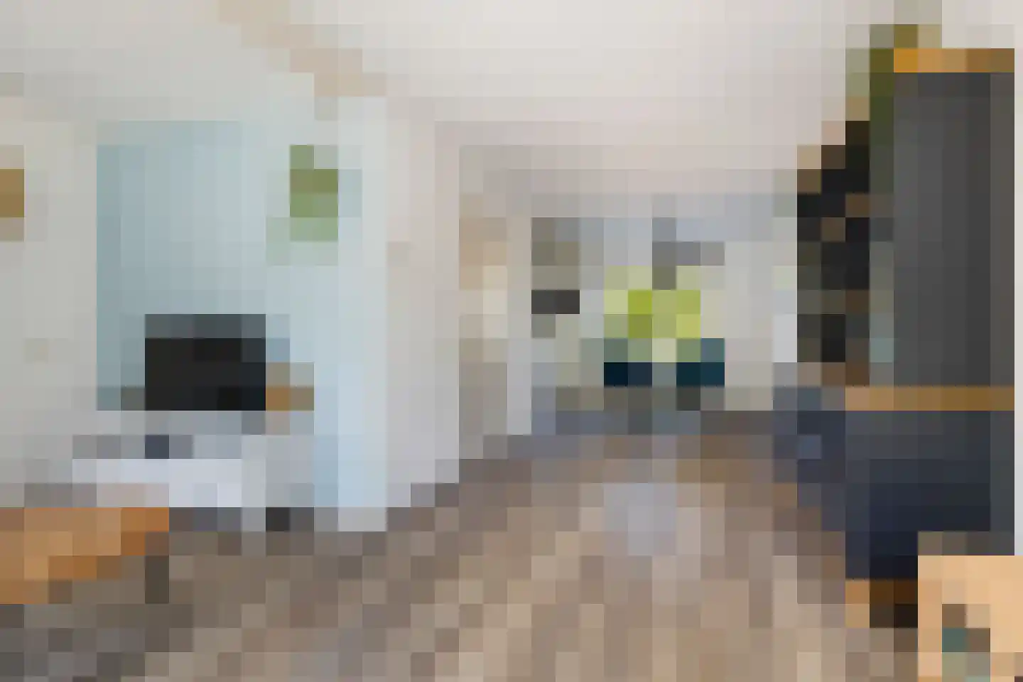 De Fintsjes 19 c Rottevalle thumbnail 12