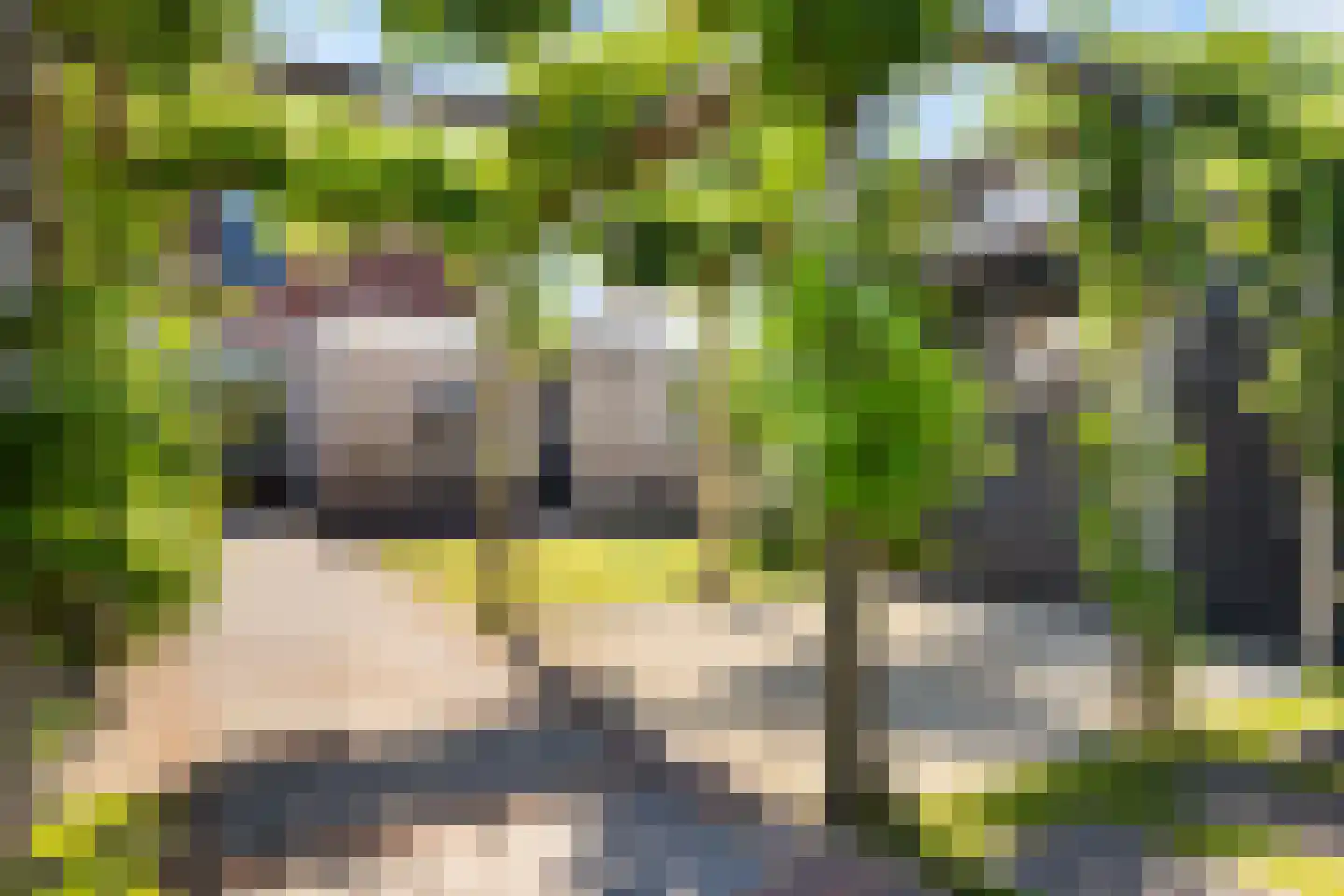 De Fintsjes 19 c Rottevalle thumbnail 39