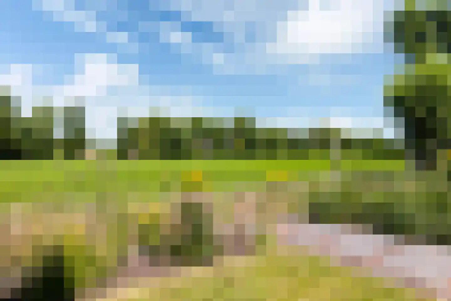 De Fintsjes 19 c Rottevalle thumbnail 8