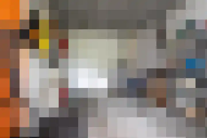 De Fisker 3 Grou thumbnail 12