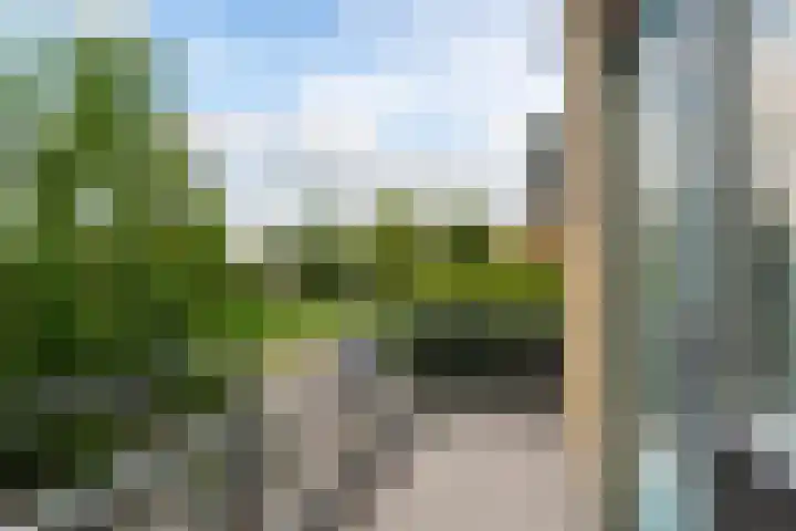 De Fisker 3 Grou thumbnail 18