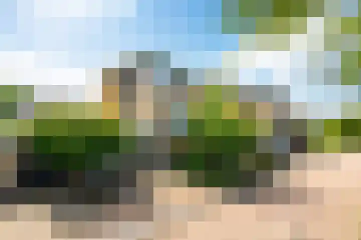 De Fisker 3 Grou thumbnail 33