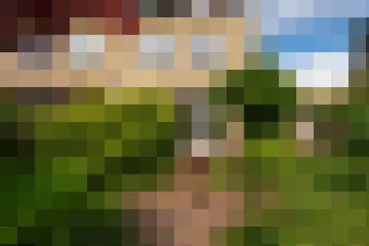 De Fisker 3 Grou thumbnail 34