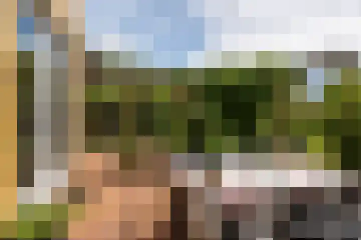 De Fisker 3 Grou thumbnail 37
