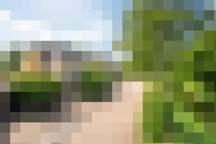 De Fisker 3 Grou thumbnail 41