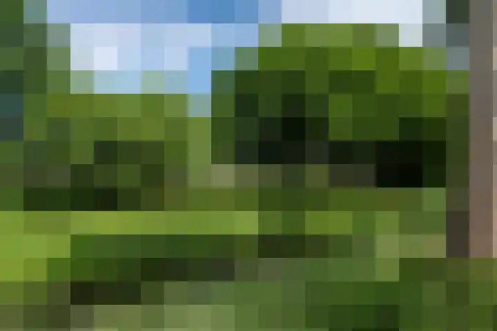 De Fisker 3 Grou thumbnail 42