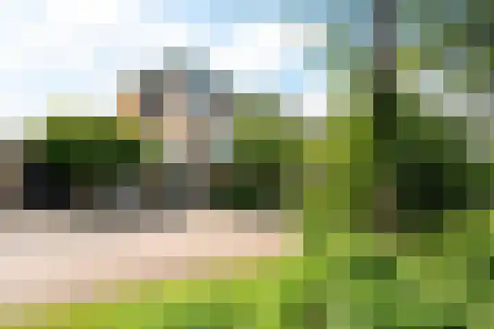 De Fisker 3 Grou thumbnail 43
