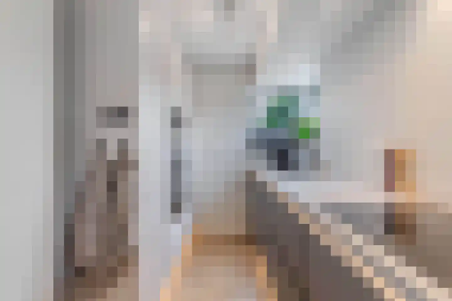 De Fisker 6 Grou thumbnail 24