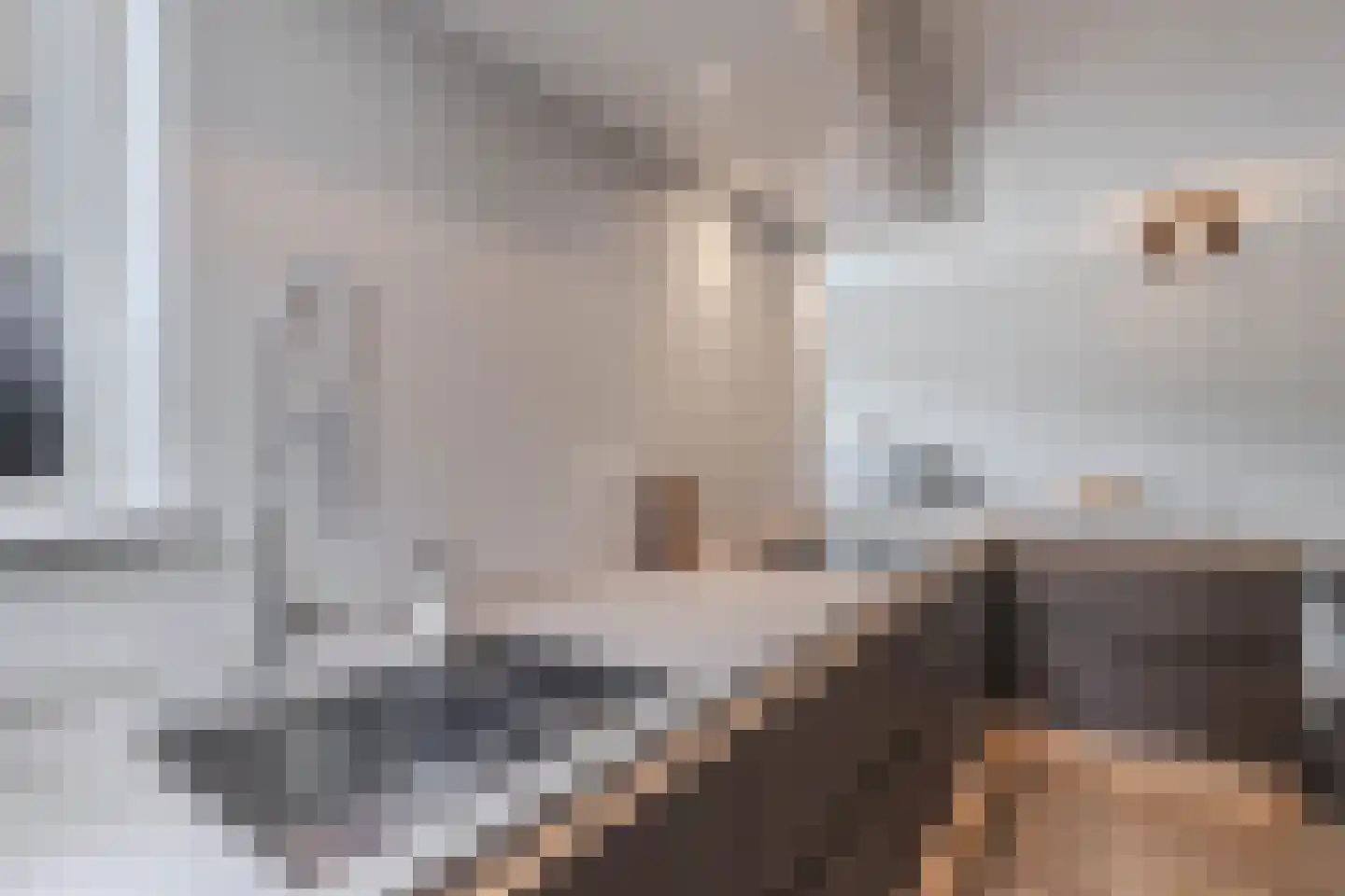 De Fisker 6 Grou thumbnail 25