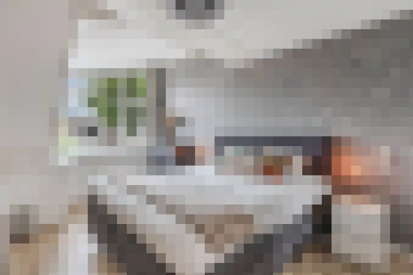 De Fisker 6 Grou thumbnail 28