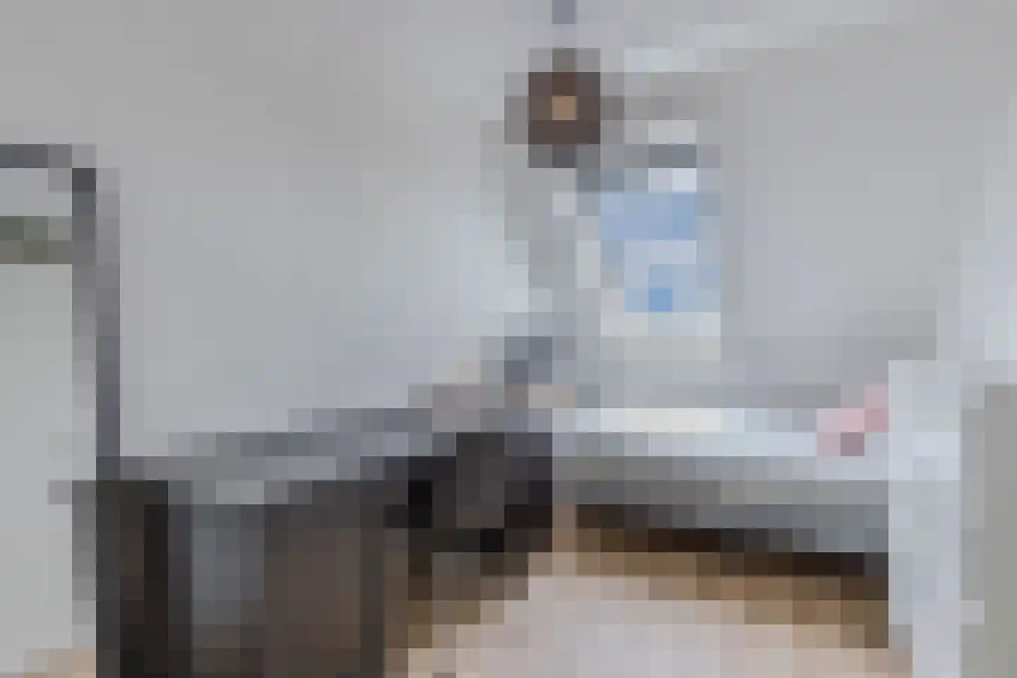 De Fisker 6 Grou thumbnail 32
