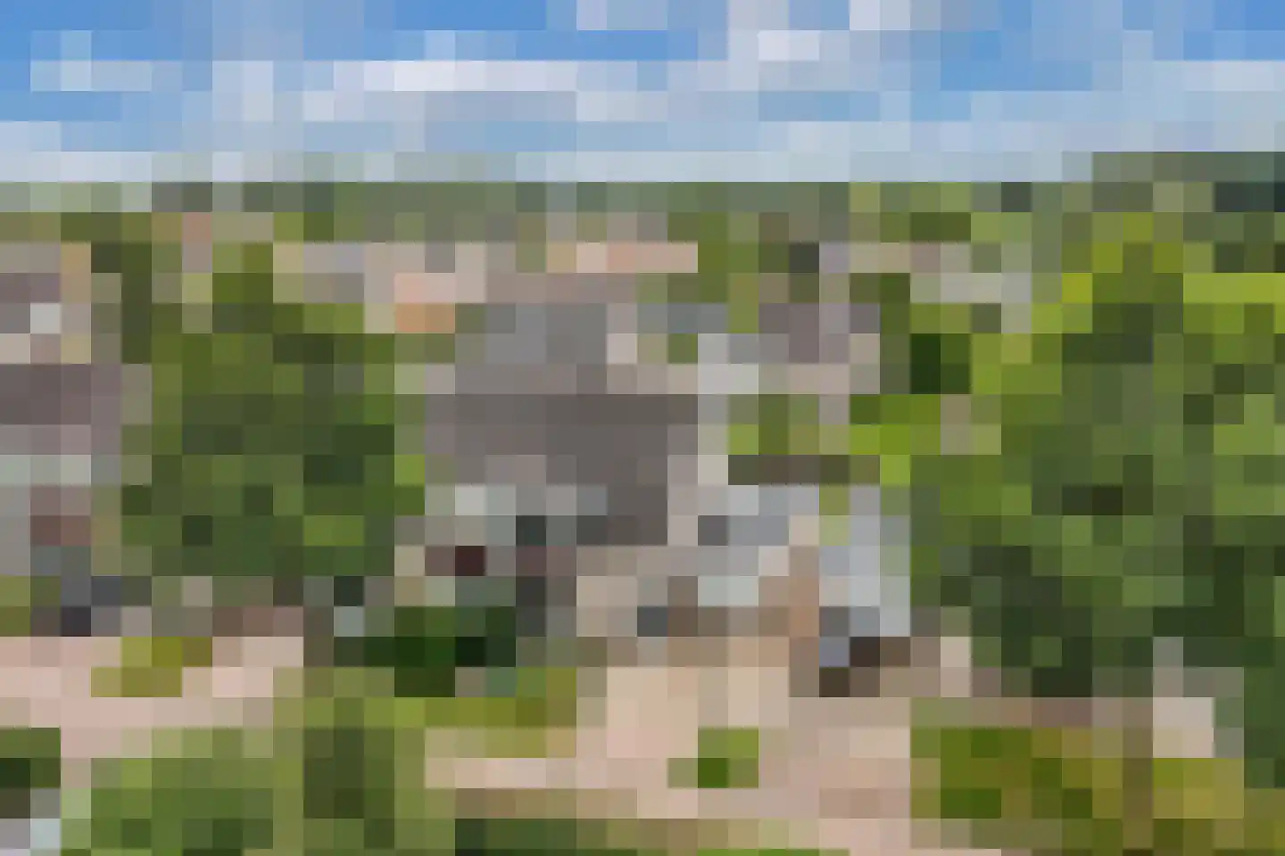 De Fisker 6 Grou thumbnail 4