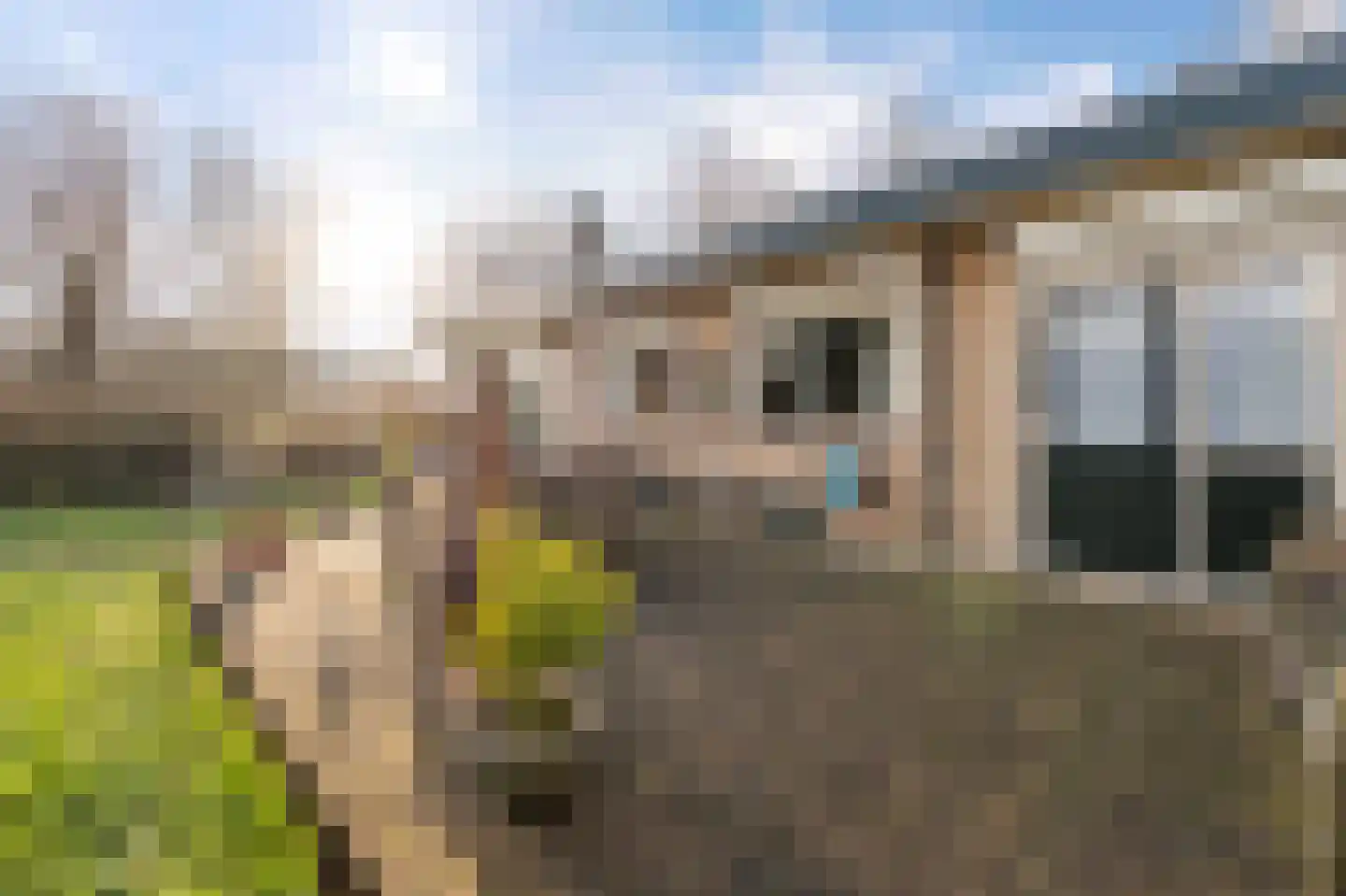 de Fjord 81 Emmeloord thumbnail 44