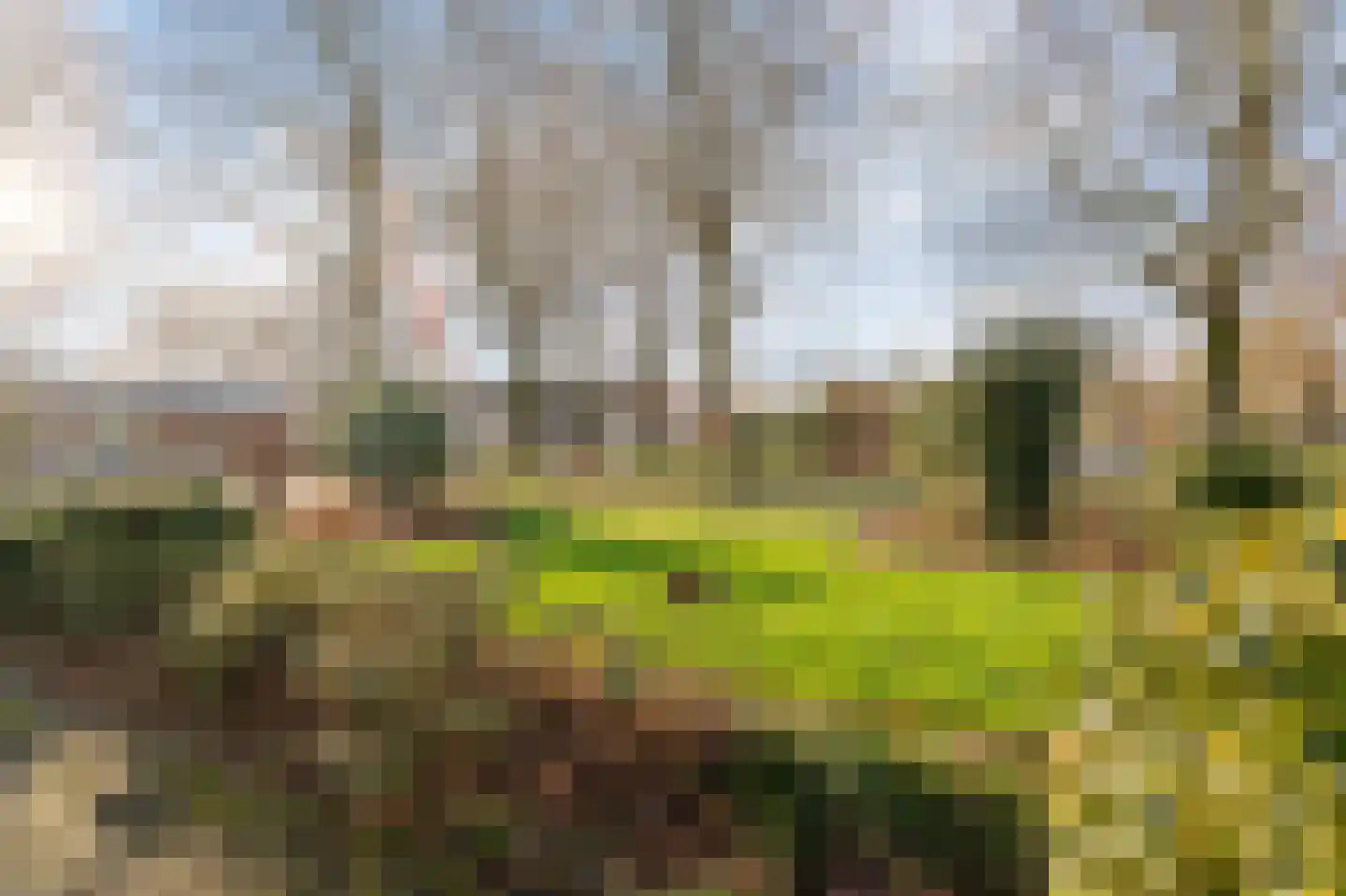 de Fjord 81 Emmeloord thumbnail 8
