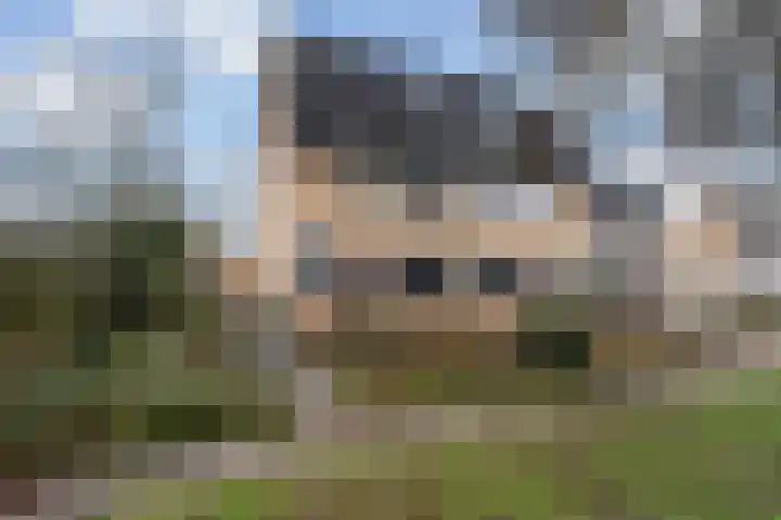 De Fjûrslach 10 IJlst