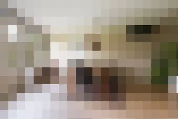 De Fjûrslach 10 IJlst thumbnail 13