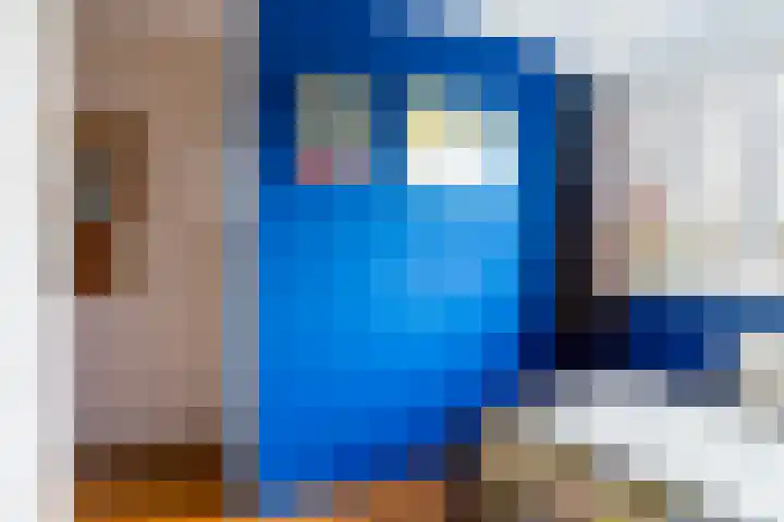 De Fjûrslach 10 IJlst thumbnail 25
