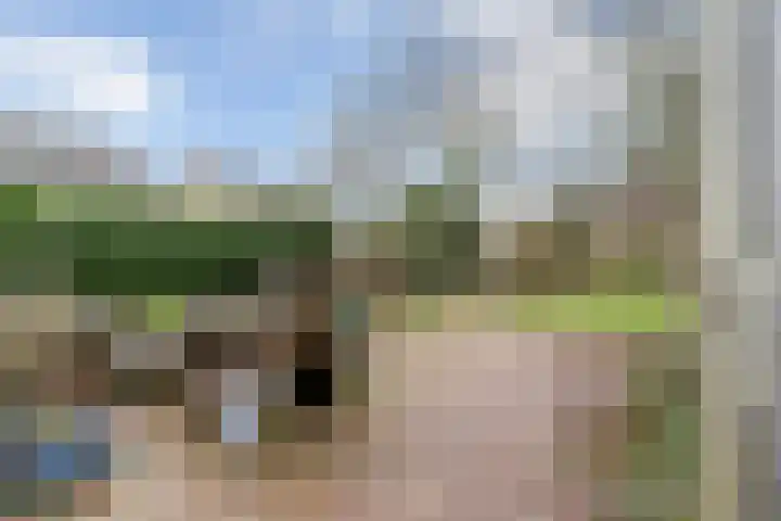 De Fjûrslach 10 IJlst thumbnail 29