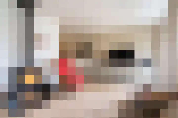 De Fjûrslach 10 IJlst foto 3