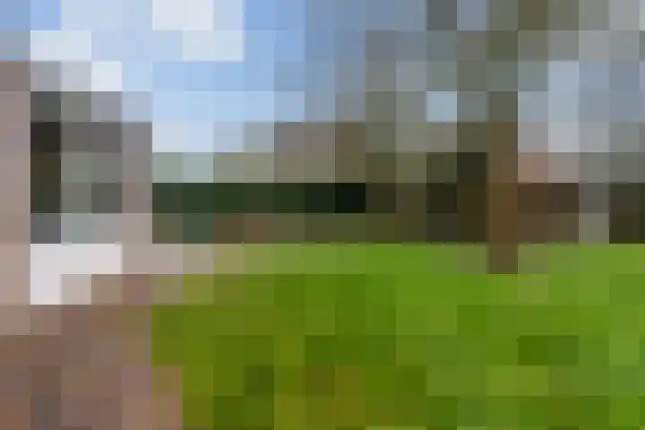 De Fjûrslach 10 IJlst thumbnail 31