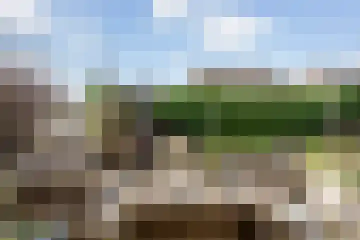 De Fjûrslach 10 IJlst thumbnail 32