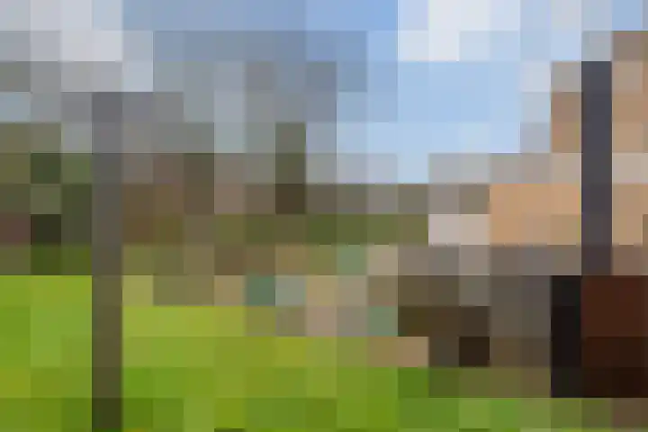De Fjûrslach 10 IJlst thumbnail 33