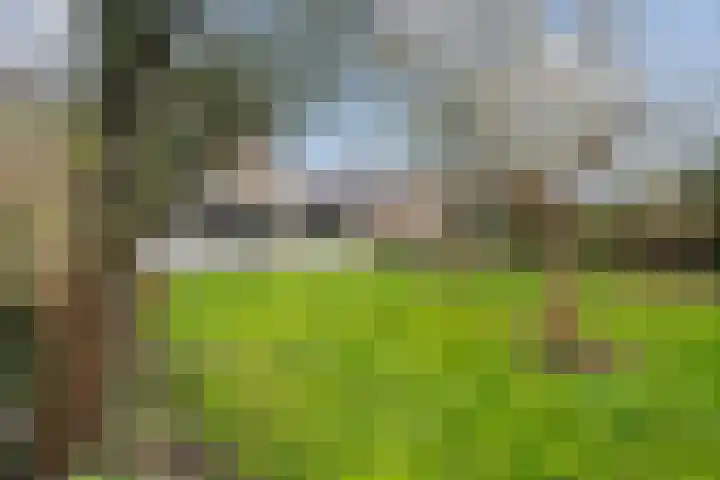 De Fjûrslach 10 IJlst thumbnail 35