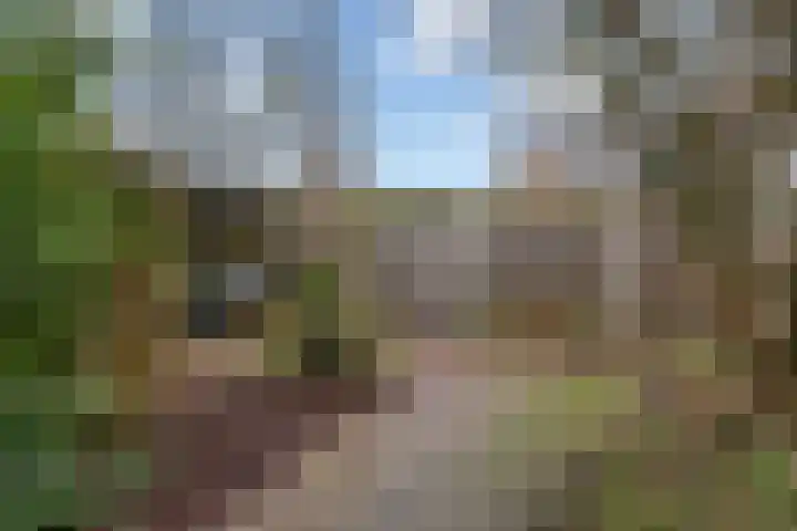 De Fjûrslach 10 IJlst thumbnail 36