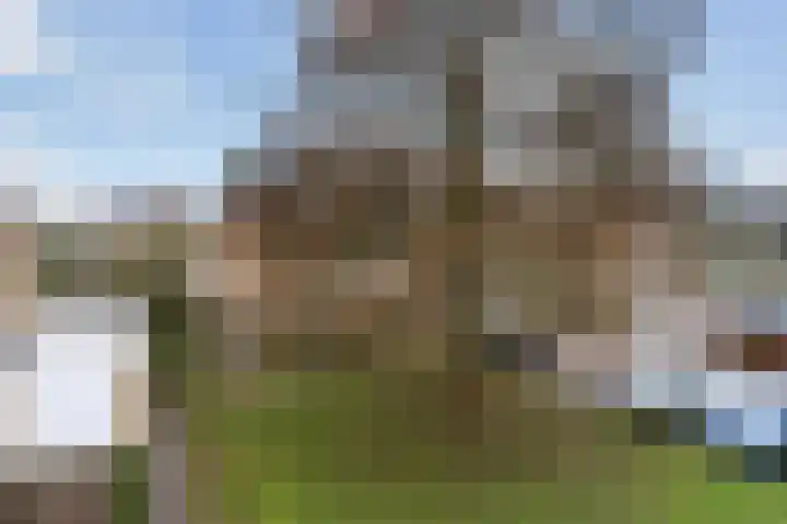 De Fjûrslach 10 IJlst thumbnail 39