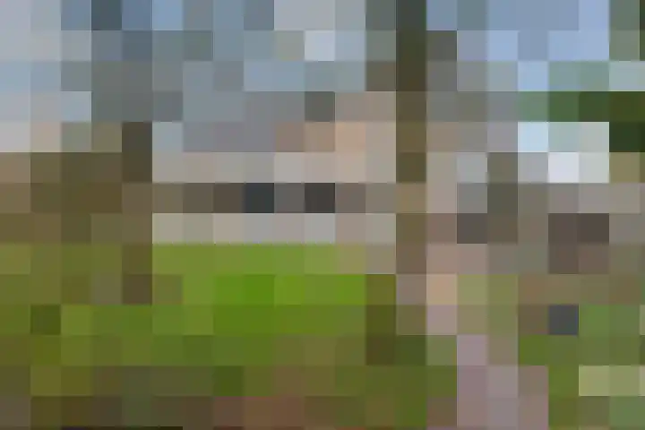 De Fjûrslach 10 IJlst thumbnail 4