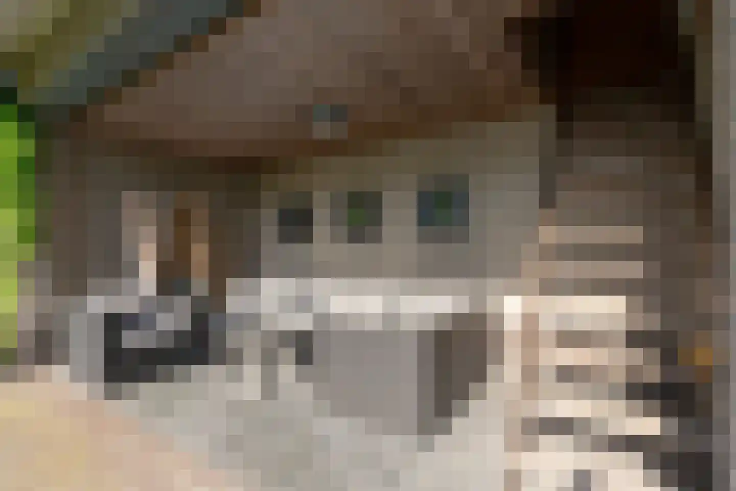 De Flammert 1022 Bergen L thumbnail 13